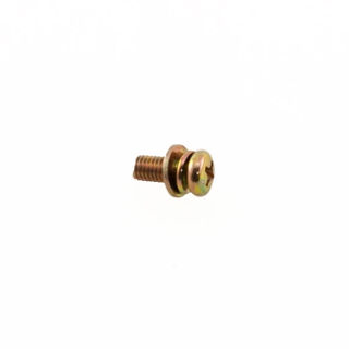 Picture of 300471 BOLT M5X0.8X12 MM PSEMS GR8.8 YL ZN F-T