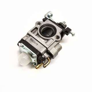 Picture of 20718 CARBURETOR COMPLETE