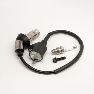 Picture of 20560 KIT SPARK PLUG WITH IGNITION COIL