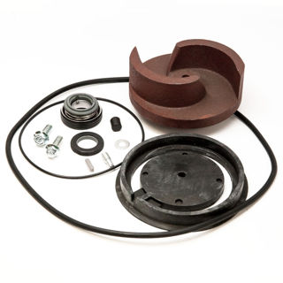 Picture of 19540 KIT IMPELLER AND SEALS SS30T