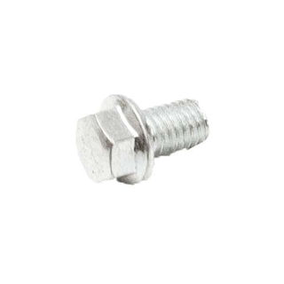Picture of 6263 BOLT M6X1.0X10 MM HHF GR8.8 ZN F-T