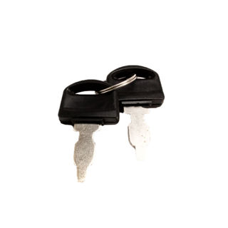 Picture of 46139 KEY FOR KEY SWITCH ON VIPER ELECTRIC