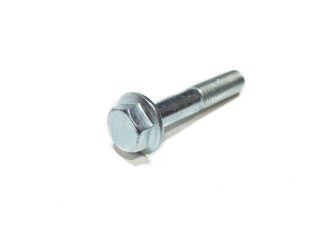 Picture of 44301 BOLT M10 X 55